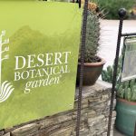 The Ultimate Guide to Visiting the Desert Botanical Garden in Phoenix